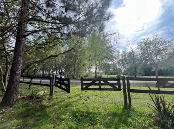 Terreno · 5000m² · Venta Lote Arbolado Haras El Malacate