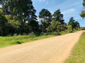 Terreno · 512m² · Venta Lote Rocha Santa Isabel de La Pedrera
