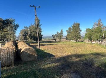 Campo · 6ha · Venta de Campo 6ha Sobre Ruta 11 Km. 146