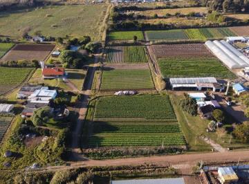 Terreno · 6796m² · Venta de Terrenos de 900 m. San Jose Carrasco