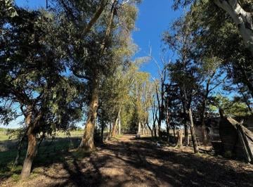 Campo · 82ha · Venta Campo Marcos Paz 82ha