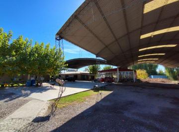 Terreno · 7000m² · Se Vende Terreno con Tinglados en Maipú, Mendoza