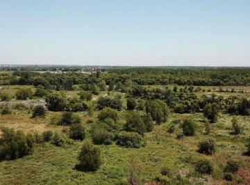 Terreno · 482m² · Lote en Venta Barrio San Pedro - Benavidez - Financ.