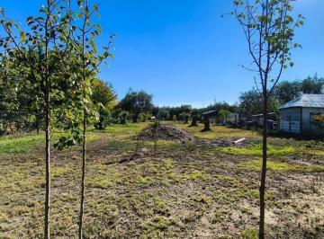 Terreno · 1117m² · Venta de Hermoso Lote en Coquimbito