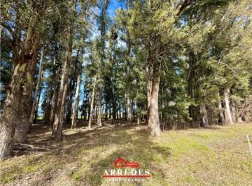 Terreno , Exaltación de la Cruz · Venta · Lote con Bosque de 5971 m² · Financiación · Capilla del Señor