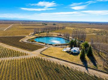 Campo · 150ha · Finca en Venta 150 Ha – Valle de Uco, Mendoza