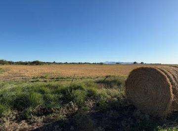 Campo · 11700ha · 12 Ha en La Entrada de Cabildo