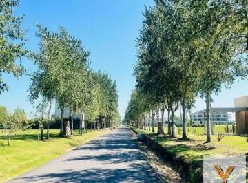 Terreno · 1000m² · Terreno Venta 20x50 m - 1000 m 2 Totales - Haras del Sur III