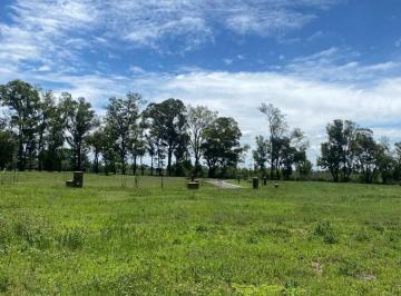 Terreno · 546m² · Lote Central Etapa Dos, en Venta en Santa Sofía, Pilar del Este, Pilar