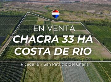 Campo · 33ha · Venta Chacra 33,72 Htas en Produccion