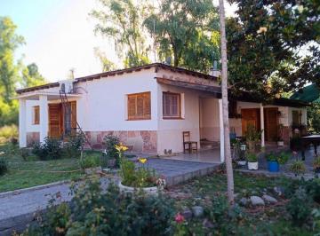Campo · 12ha · Finca 11,5 Ha en Colonia Las Rosas - Tunuyán