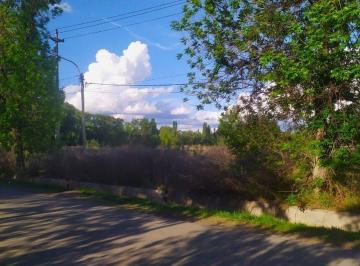 Terreno · 750m² · Magnífico Terreno Tunuyán Lateral Ruta 40