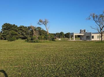 Terreno · 400m² · Terreno en Venta - 400 m² - Miramar