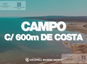 Campo · 180000ha · Terreno en Mari Menuco
