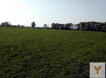 Campo · 2420000m² · Campo en Venta - 2.420.000 m² - Mechongué