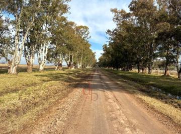 Campo · 180ha · Campo Mixto con Monte y Casa Principal en Venta Las Flores