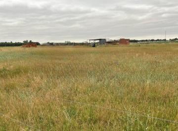 Terreno · 5143m² · Terreno en Chacra 7 Parcela 7 - Macachín