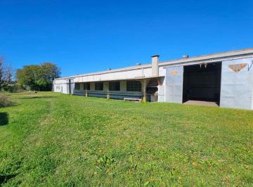 Bodega-Galpón · 747m² · Venta Galpon Usos Multiples