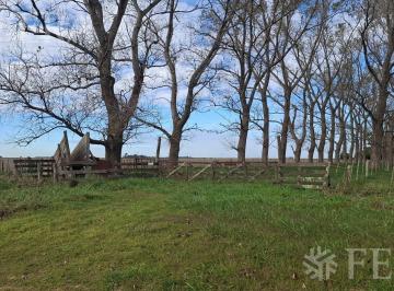 Campo · 150m² · Venta Campo 302 Hectáreas en Comandante Giribone Chascomus