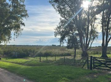 Campo · 10ha · Chacra de 10 Hectáreas en Venta en General Rodriguez
