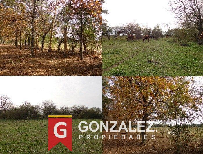 Terreno · 340000m²
