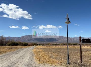 Terreno · 6000m² · Terreno en Estancia Cafayate