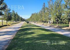 Terreno · 2400m² · Venta Lote de 2400 m² en Campos de Roca II