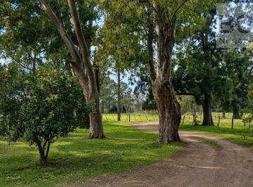 Campo · 300000ha · 6 Ambientes · Campo en San Andres de Giles