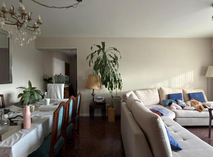 Departamento en Parque Chacabuco