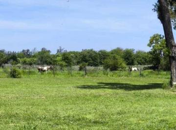 Campo · 52m² · Venta/ Campo/ Los Cardales (Exaltacion de La Cruz)