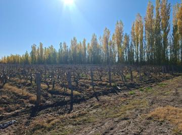 Campo · 21ha · Finca en Ingeniero Gustavo Andre