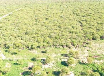 Campo · 180000m² · 1 Ambiente · Campo 180 Ha Ganadero en Venta Villa de Soto