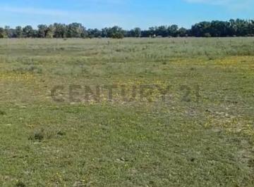 Campo · 20m² · Alquiler/campo Agricola/20 Ha/la Plata