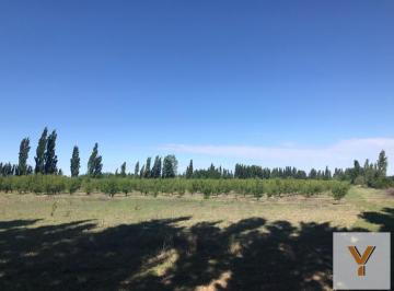 Quinta vacacional · 146m² · 6 Ambientes · Finca en Venta - 4 Dorm. 2 Baños - Mendoza
