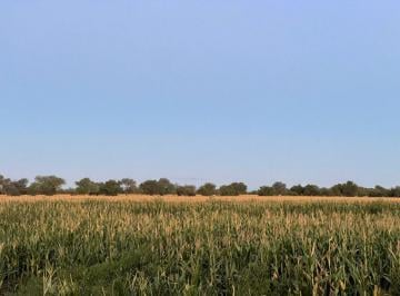 Campo · 1204ha · Campo Mixto 346 Ha - Ruta Nacional 38 Cruz del Eje