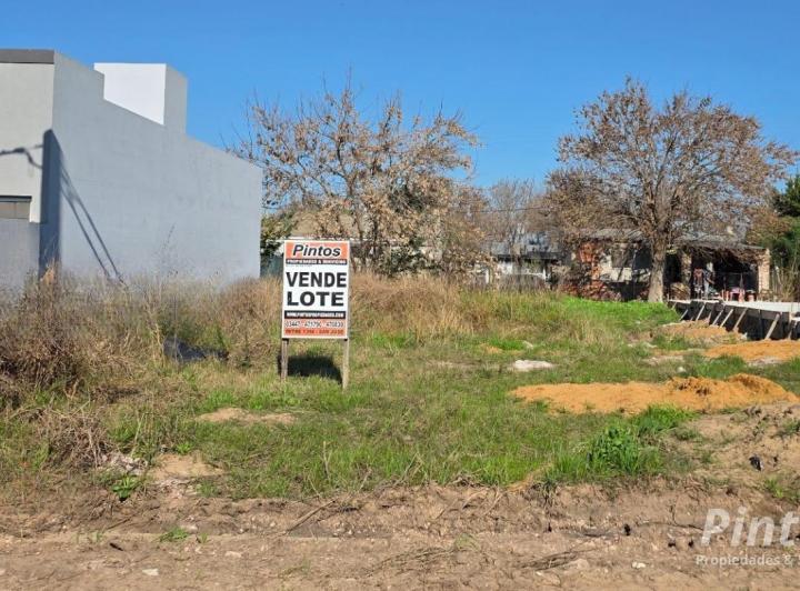 Terreno · 311m²