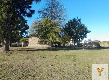 Campo · 100ha · Campo en Venta - 21,4 Ha - Bolívar