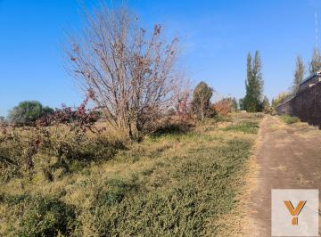 Campo · 80000m² · Campo en Venta - 8 Hectáreas - Guaymallén