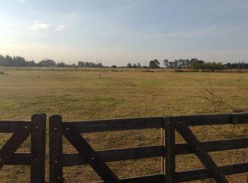 Terreno · 10000m² · Lote de 10.000 m en Chascomús