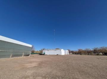 Bodega-Galpón · 1700m² · Establecimiento Agroindustrial en Guaymallen