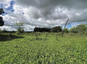 Campo · 10000m² · Campo en Venta - 10.000 m² - Mercedes