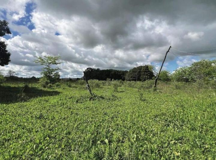 Campo · 10000m²