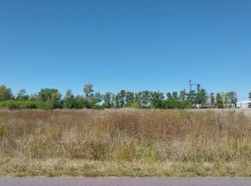 Terreno · 8000m² · Lote 1 H en Venta Lujan S/colec. R5 Est. Olivera