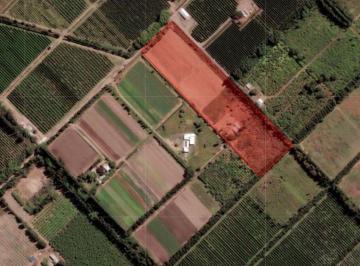 Campo · 125ha · Venta Chacra 3,1 Ha en Vista Alegre Sur