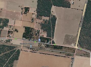 Campo · 4320000m² · Campo en Venta - 432 Hectáreas - Villa Mercedes