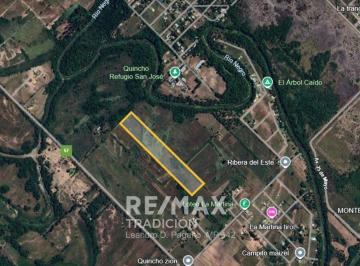 Terreno · 7812444m² · Terreno de 7 Has en Venta - Puerto Tirol