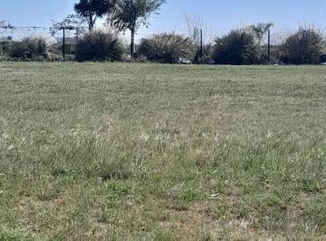 Terreno · 482m² · Venta Terreno Barrio Palmares 4