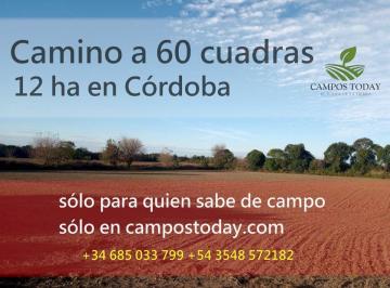Campo , Córdoba · Vendo Campo de 12 Hectáreas en Camino a 60 Cuadras. Escritura y Servicios Completos