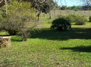 Campo · 25ha · Campo Mixto de 25 Ha en Obera, Misiones