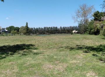 Terreno · 1006m² · Terreno en Venta - 1000 m² - Santa Catalina, Dique Luján, Tigre